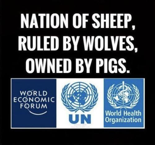 IMG_20240813_154427_856