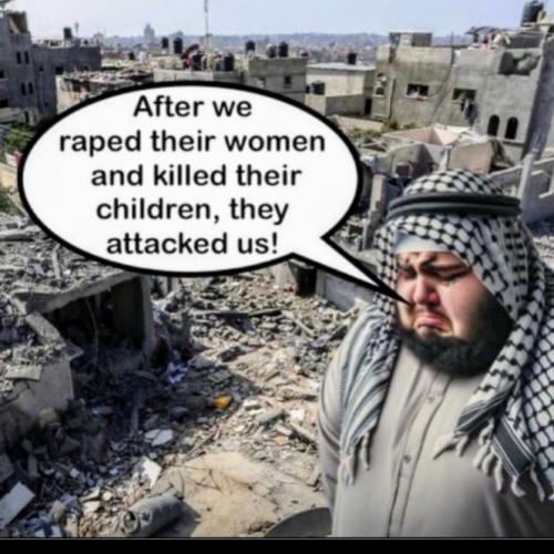 Screenshot_20240725-204357_Wimkin Free Speech Social Media