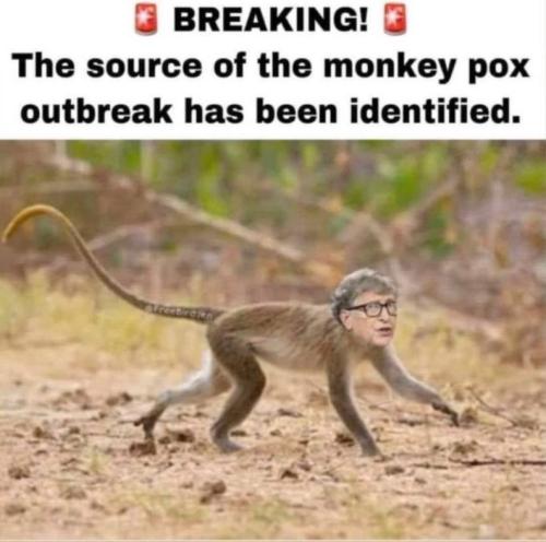 photo_2024-08-15_17-35-59