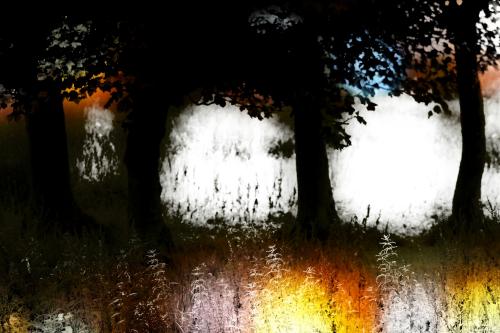 PicsArt_08-25-07.03.29