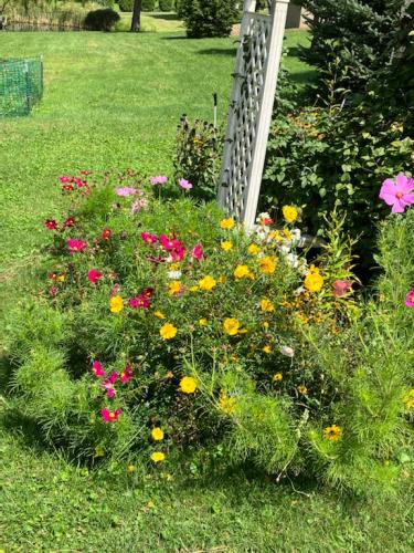 747D5F02-248A-47B9-8A1A-FC258D999D35