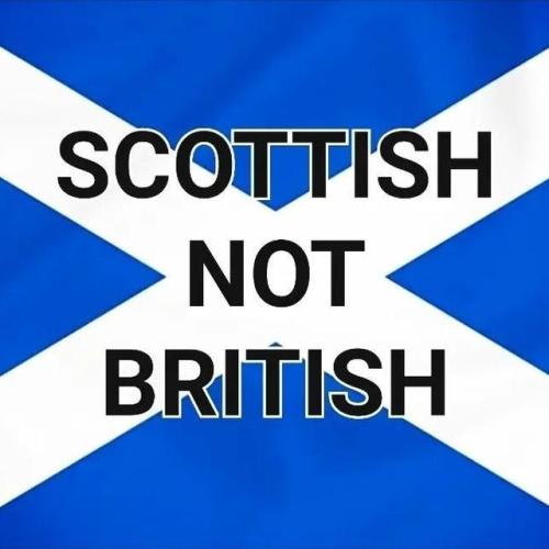 IMG_20240815_230245_806