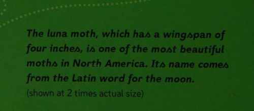 Screenshot_2024-08-08-23-36-23_kindlephoto-123210523