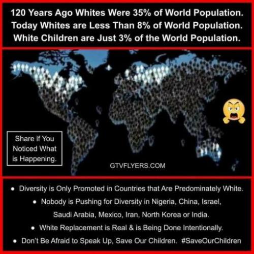 IMG_20240817_072109_433