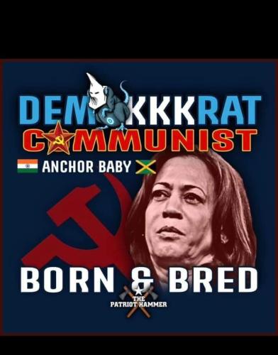 700ce7de-e4e9-4752-ba50-d1aaed69f31f