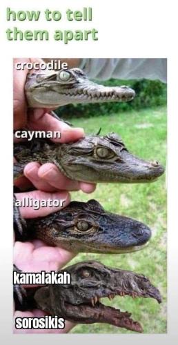 0f6dc387-b7eb-4131-8711-78671654ead3