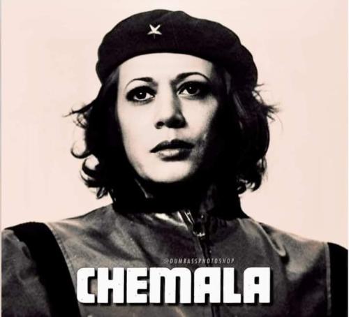 FB_IMG_1724513769547