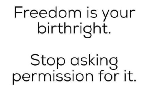 FB_IMG_1724248284540