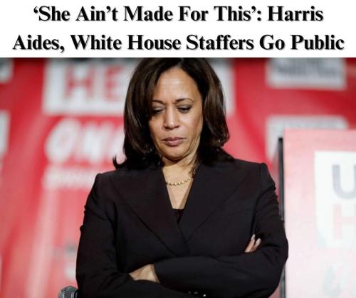 FB_IMG_1725070567048