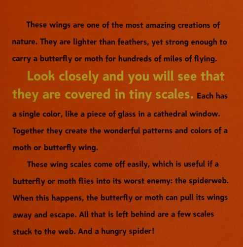 Screenshot_2024-08-08-23-33-19_kindlephoto-123075798