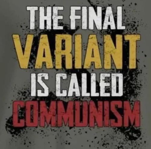 image_50C65B55-566A-42DB-92B1-4E3A692F5DE2