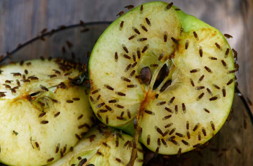 Screenshot_2024-08-14-11-39-34_kindlephoto-257153655