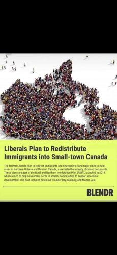 plan to distribute