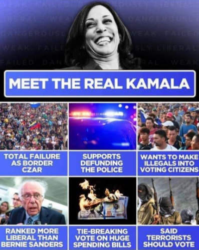 image_2024-08-02_061858699