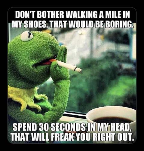 IMG_20240815_023833_181