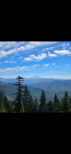 Screenshot_20240811_161949_Gallery