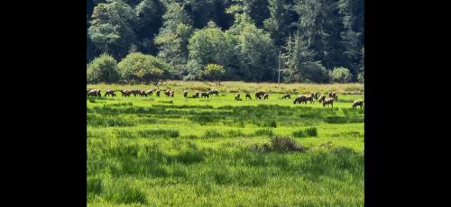 Screenshot_20240825_193239_Gallery