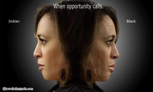 eugj0uz5vzkr2qaavbnc_800[1]