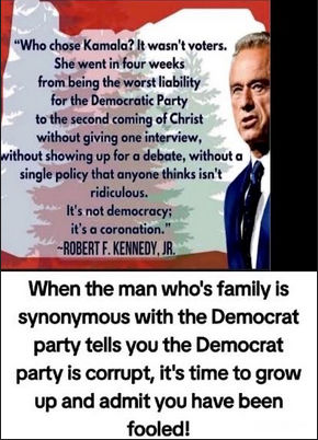 robert f kennedyjr11