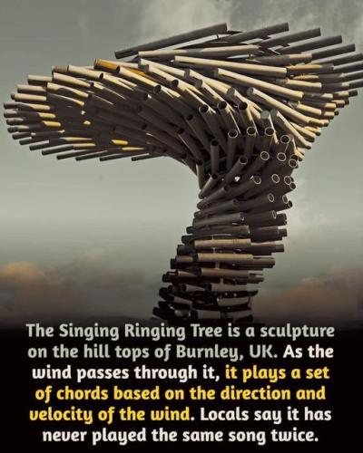 456137049_10221416728767336_8144316829186005208_n