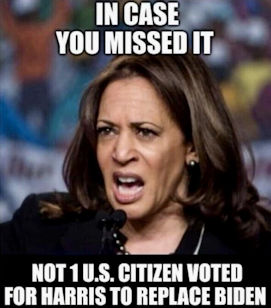kamala harris323