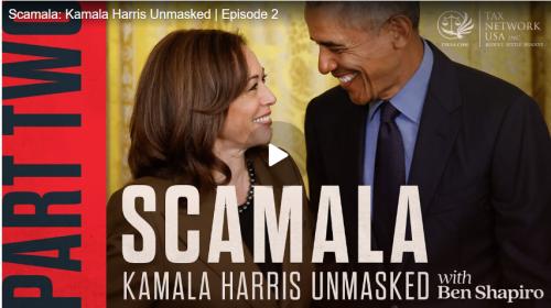 Scamala 2 Unmasked screenshot