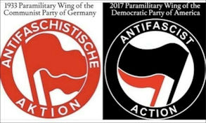 antifa81