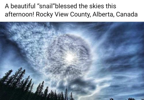 2995abed-d2f1-4a74-af21-0ac920a48d4e