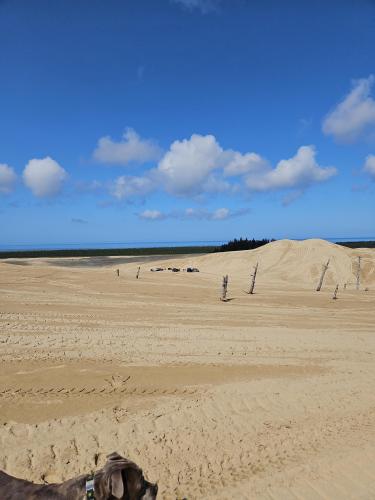 146e5e1d-6464-4c57-9a15-ccc179a0406f