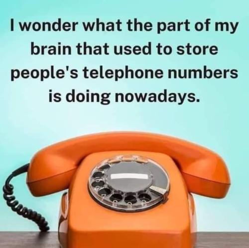 FB_IMG_1723071231632