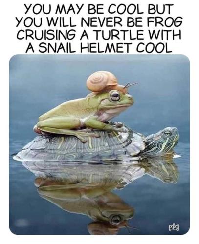 455348218_952421990231686_1847391323504277212_n