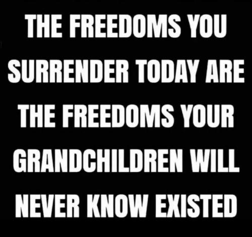 IMG_20240818_143437_484