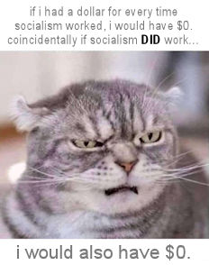 socialism115