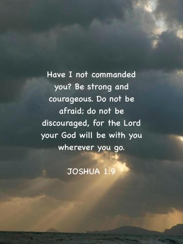 Image-1 2