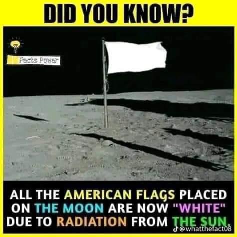 aecf2834-c657-4d00-9083-0133841a05da