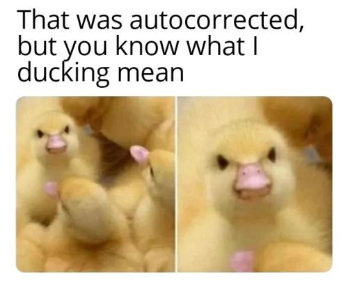 6390e55f262f4