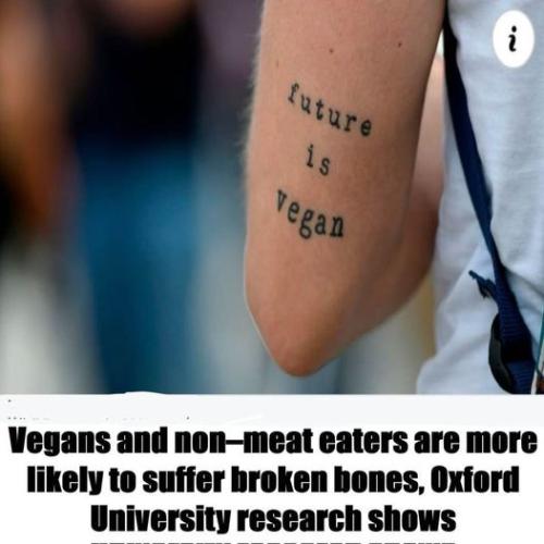 vegans and non meat eaters