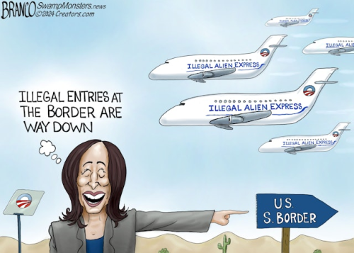 BRANCO ILLEGAL ALIENS JETS