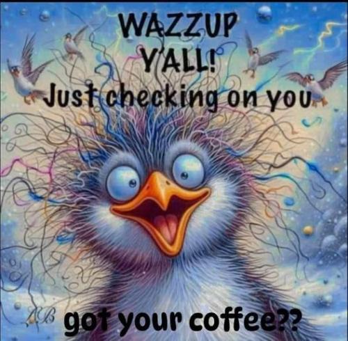 453319256_479879131663072_1687600569318437803_n