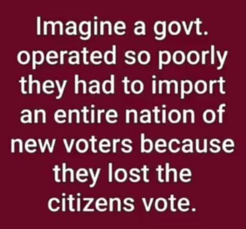 photo_2024-07-31_20-01-12