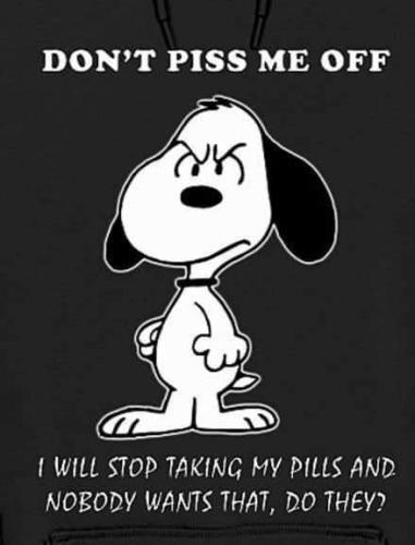 FB_IMG_1724265577564