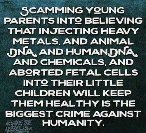 IMG_20240830_040751_222