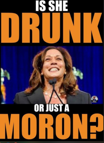 Screenshot 2024-08-22 073852