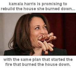 kamala harris412
