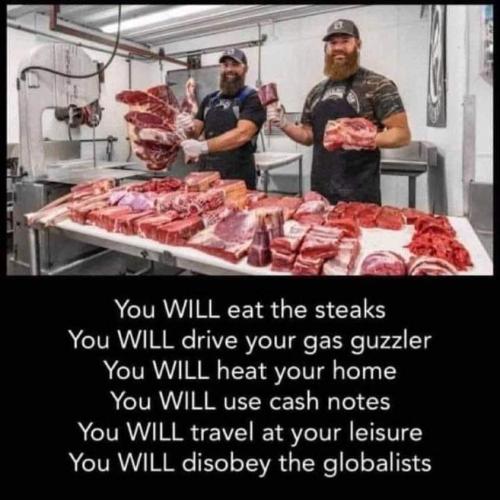 f7333330-715d-4b20-8ce8-a77a62479034