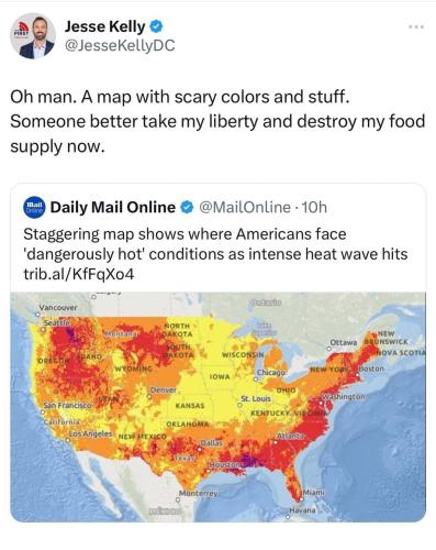 xephula_3d28c40748a3e664bc80ddc420419f72