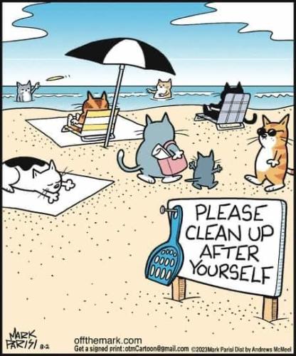 cat funnies 81