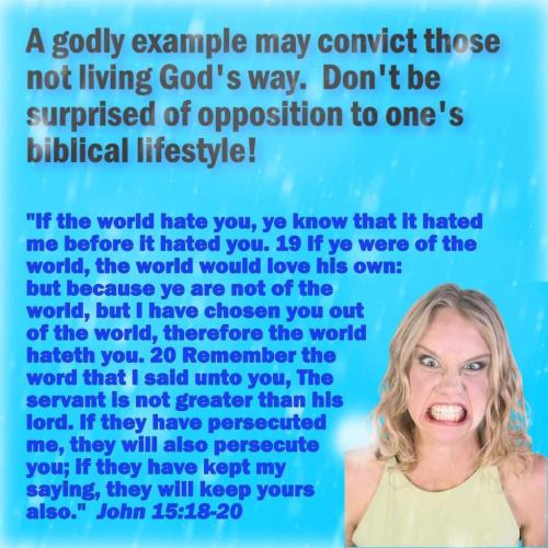 521cb0b7-ef86-444c-a87c-32fbfeee5741