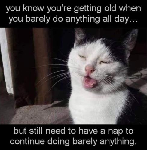 you know youre getting old when you barely do anything all day