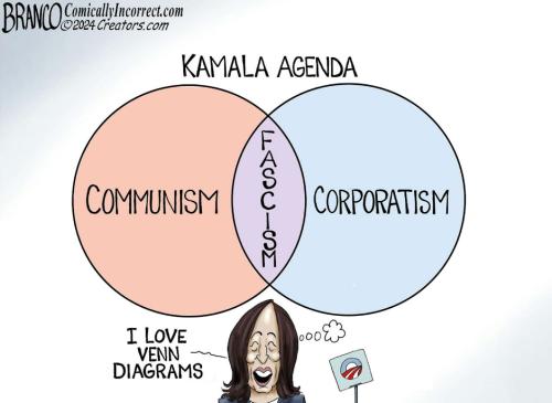 7e05f98a-e80b-4f07-b2c7-5d7912de7404_940x688